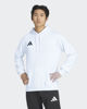 Immagine di SWEAT C/CAPP.ENT26 HOODY WHITE