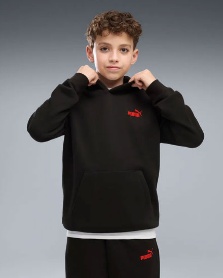 Immagine di SWEAT C/CAPP.ESS LOGO LAB BRAND BACK BLK