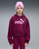 Immagine di SWEAT C/CAPP.ESS 2 COLOR NO.1 LOGO FUXIA