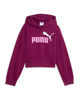 Immagine di SWEAT C/CAPP.ESS 2 COLOR NO.1 LOGO FUXIA