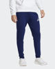 Immagine di PANTALONE ENT26 SW PNT BLUE