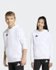 Immagine di SWEAT C/CAPP.ENT26 HOODY JR WHITE