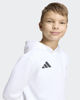 Immagine di SWEAT C/CAPP.ENT26 HOODY JR WHITE