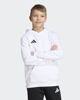 Immagine di SWEAT C/CAPP.ENT26 HOODY JR WHITE