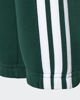 Immagine di PANTALONE 3S FL PT 280 GREEN