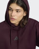 Immagine di SWEAT C/CAPP.FEELCOZY HD BURGUNDY