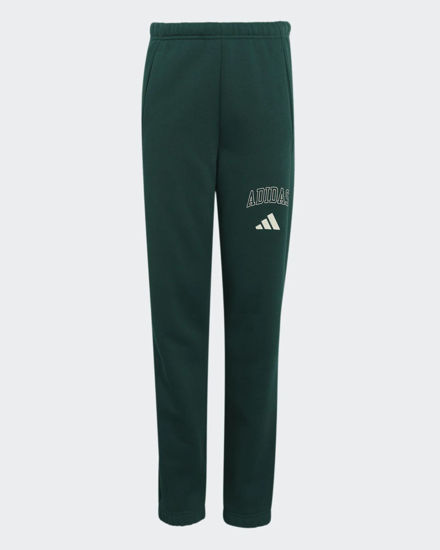 Immagine di PANTALONE CLGT FL PNT GREEN