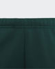 Immagine di PANTALONE CLGT FL PNT GREEN