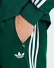 Immagine di PANTALONE FIREBIRD TP GREEN