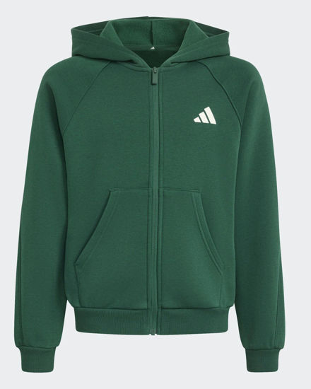 Immagine di JACKET C/CAPP.CLGT FZ HD GREEN-IVORY