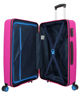 Immagine di TROLLEY RIGIDO LINEA ASTRAL