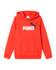 Immagine di SWEAT C/CAPP.ESS 2 COLOR NO.1 LOGO RED