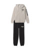 Immagine di TUTA ESS GRAPHIC SUIT FL SILVER