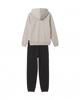 Immagine di TUTA ESS GRAPHIC SUIT FL SILVER