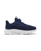 Immagine di SCARPA FLEXFOCUS LITE MODERN PS 10-2%BLU