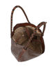Immagine di BORSA