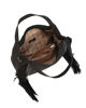 Immagine di BORSA