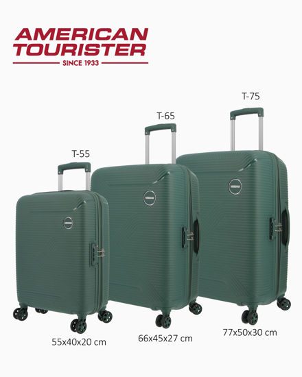 Immagine di TROLLEY