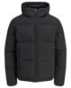 Immagine di JACK&JONES - Giubbino Galaxy Puffer nero