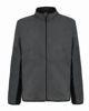 Immagine di MICROPILE BICOLORE FZ IVAN ANTHRACITE-BK