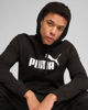 Immagine di SWEAT C/CAPP.ESS NO.1 LOGO HD FL BLACK