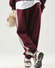 Immagine di PANTALONE 3S FL C PT BURGUNDY
