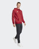 Immagine di SWEAT C/CAPP.ENT26 HOODY RED