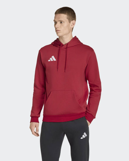Immagine di SWEAT C/CAPP.ENT26 HOODY RED