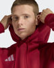 Immagine di SWEAT C/CAPP.ENT26 HOODY RED