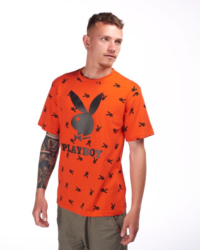 UOMO TSHIRT MEZZA MANICA